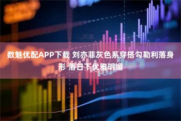 数魅优配APP下载 刘亦菲灰色系穿搭勾勒利落身形 落日下优雅明媚